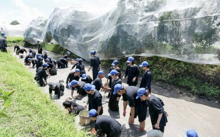 Teambuilding Cần Thơ: Trần Anh Group Trải Nghiệm Đất Phương Nam
